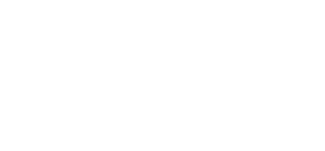 voice